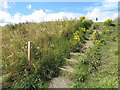 Steps, Southern End of Newbiggin Bay