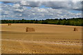 SU1834 : Harvest field below Figsbury Ring by David Martin