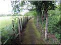 Llwybr Heol Brynteg / Brynteg Road path