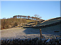 Dry-stone field enclosures at Brackenbottom