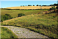 Path and grassland above Follaton Rise