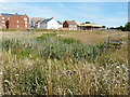 Expansion of the Finberry housing estate