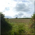 Field entrance near Brushford