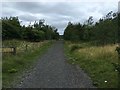 Path to the Sundial, Silverlink Biodiversity Park