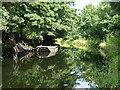 Basingstoke canal east of Monument Bridge