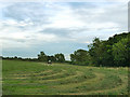 Mowing a field in East Carlton