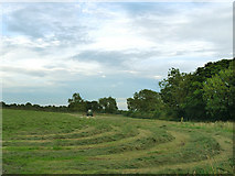 SE2142 : Mowing a field in East Carlton by Stephen Craven