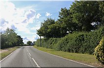 SP6649 : Blakesley Road, Greens Norton by David Howard