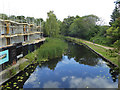 Basingstoke canal east of Monument Bridge