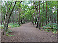 Path, Horsell Common