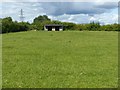 Pasture with shelter