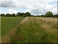 Public footpath through Cow Pasture