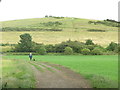 Public Bridleway Near Weetslade Country Park