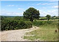 Farm track, north of White Lane