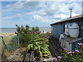 Hut at Shellbeach