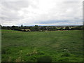 Grass field at Gelston