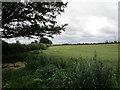 Grass field, Balderfield