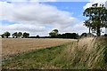 Sweffling: Harvested cereal crop