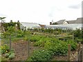 Walled garden at Brackenhurst Hall