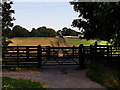 Public footpath to Lincombe Lane from Sunningwell village