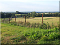 View south from the bench