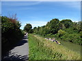 Above the canal at Devizes