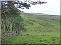 Valley of the Mill Beck