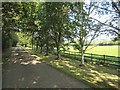 Driveway to Barrows Hill Farm