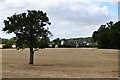 Marlesford: Over a harvested cereal crop to Hall Farm