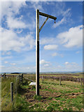 NY9690 : Winter's Gibbet at Steng Cross by James T M Towill