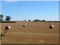 Harvested field at Kilnsey House farm