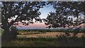 View across Peachcroft Farm at dusk