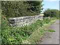 Bridge over the Brierdene Burn, West Holywell