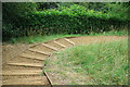 Path to the Mirror Pool, Upton House