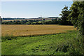 Farmland near Shipton under Wychwood