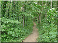SE3127 : Path into woodland off Sharp Lane by Stephen Craven