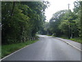 Bryn Road near Beech Farm