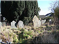 Overgrown cemetery in Trefeglwys