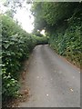 Narrow lane to Ugborough