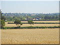 Field east of Peldon; near Malting Farm