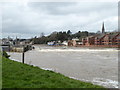 SX9291 : River Exe in spate by Chris Allen
