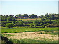 View of Hillyfields from Charter Wood