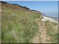 The path to Warden Point