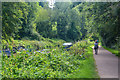 Bathampton : Kennet & Avon Canal