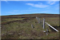 SD5950 : Boundary Fence on Lingy Pits by Chris Heaton