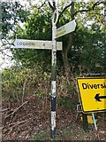 TM3491 : Direction Sign – Signpost by D Gilham