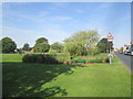 Pond  on  Cranswick  Green