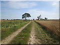 Stockbridge  Lane  (track)  toward  Cranswick  Common