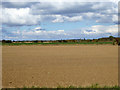 Field north of Grange Road, Tillingham