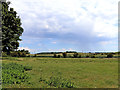 SO8582 : Farmland by Whittington Hall in Staffordshire by Roger  D Kidd